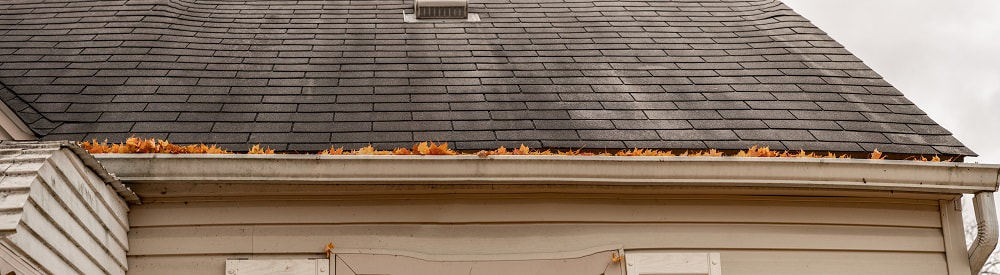 Tips for gutter maintenance in the fall