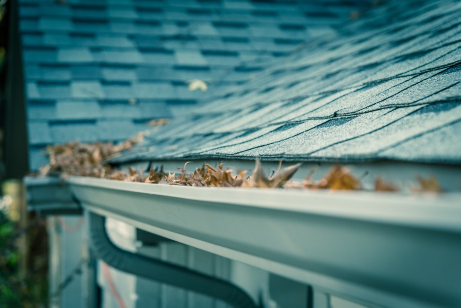 signs of clogged gutters
